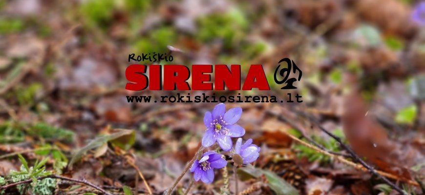 Naujausiame „Rokiškio Sirena“ numeryje skaitykite