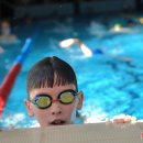 Papildyta: plaukimo varžybų „Rokiškis Cup 2025“ rezultatai (foto+video)