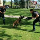 Įsimintinas vakaras mokykloje: pažintis su kinologais, policininko bei kario profesijomis (foto)