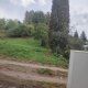 Sodo sklypas