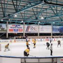 Namų ledas vėl buvo gruoblėtas: „Grizliams“ laimėti nepavyko