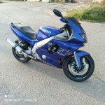 „Yamaha yzf 600“