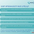 Vaikams grįžus į kolektyvus: kaip po vasaros apsaugoti juos nuo utėlių ir spalinių?