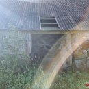 Situacijos spąstuose: privačiame sklype ekologine katastrofa gręsianti kasdienybė AAD nejaudina – „prie sienos“ remia tik finansiškai stabilius pažeidėjus