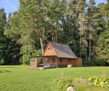 Vienkiemis prie pat Rokiškio miesto