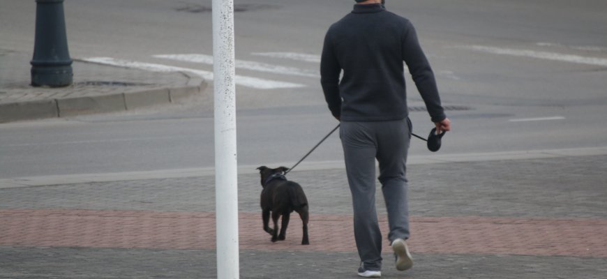 Saviizoliacijoje esantiesiems leidžiama išvesti augintinius į lauką 15 minučių