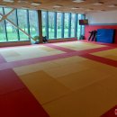 Rokiškio dziudo ir sambo sportininkai įžengė į naująją areną 