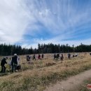 Ąžuolų giria jau pasodinta – Nacionalinis miškasodis Rokiškyje šį kartą buvo išskirtinis (foto)