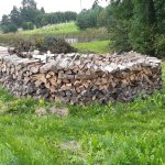 Skaldytos uosio, eglės malkos