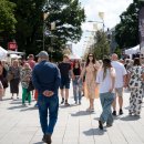 Dūzgiančių bitučių pulkas atvyksta į Rokiškį