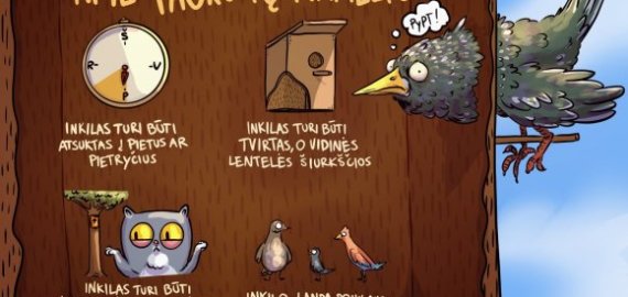 Klaidos, dėl kurių iškeltame inkile paukščiai neapsigyvens niekada