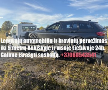 Traliukas Rokiškyje