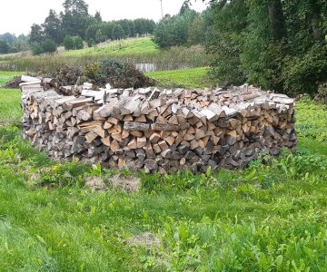 Skaldytos uosio, eglės malkos