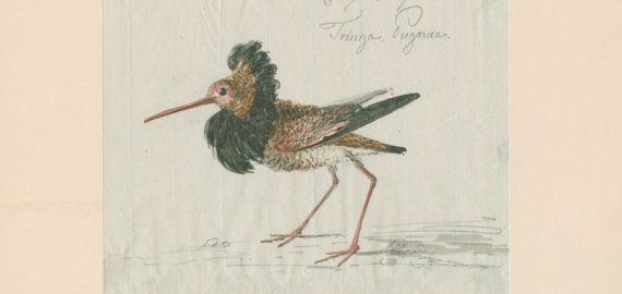 Parodą „Uždegta Monmartro ugnies: Rokiškio dvaro meno kolekcija“ galima apžiūrėti virtualiai