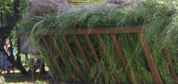 Jaunieji ūkininkai raginami kurti verslą kaime – projektui įgyvendinti galės gauti 40 tūkst. eurų