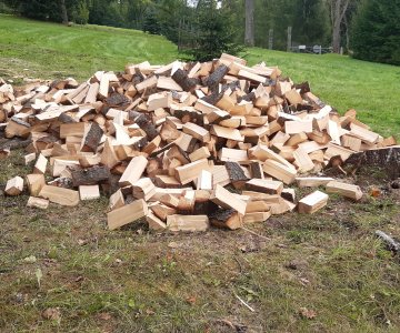 Skaldytos uosio, eglės malkos