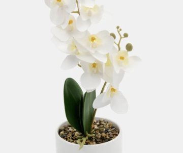 Dirbtinė orchidėja