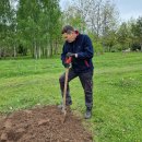 Puošia Velykalnio parką: jau augančių ąžuolų ir narcizų plantacijas šiemet papildė jurginai