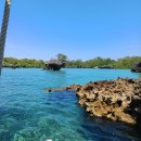 Egzotiškasis Zanzibaras: 300 metų gyvenantys vėžliai ir lietuviškai mokantis afrikietis