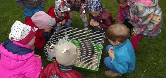 Rokiškio lopšelis-darželis „Varpelis“ - Šviečiamosios gyvulininkystės programos dalyvis