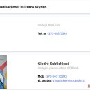 Konkursą Kultūros ir komunikacijos skyriaus vedėjo postui užimti savivaldybė turės kartoti