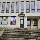 Ieškome pamestinuko balandžio šeimininkų (video+foto)