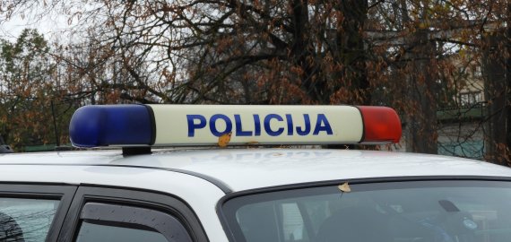 Neblaivi vairuotoja atsitrenkė į medvežį