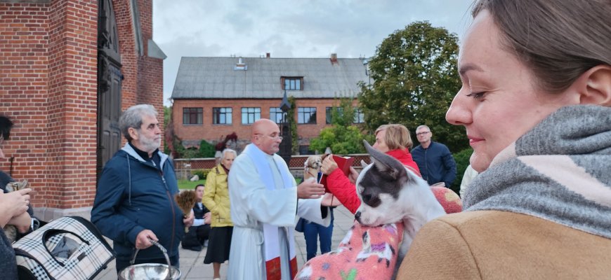 Šv. Pranciškaus dieną šventoriuje – per 40 augintinių (foto)