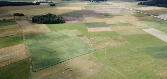 NŽT vieną kartą per savaitę Rokiškio gyventojus aptarnaus gyvai