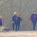 Pėsčiųjų žygis LAISVĖS VARDAN (video+foto)