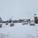 Eglė baigė tarnybą – apšvietimas išjungtas, papuošimai bus nuimti orams atšilus