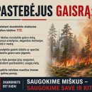 Įpusėjus 2026-uosius nerimą kelia išaugęs gaisringumas Rokiškio rajone