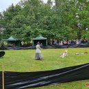 Miesto šventė – trys veiklios dienos renginių visų skoniams (foto+video)