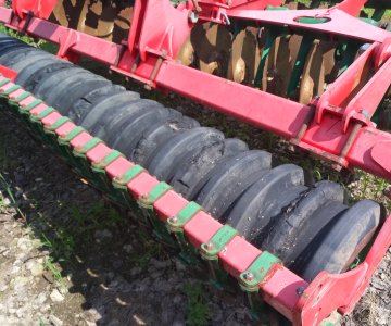 Lėkštinis skutikas