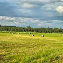 Dvaro derlius: ką Ilzenbergo dvare verta pamatyti ir paragauti