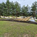 Velykalnio aikštynai neišvengė nuostolių (video+foto)