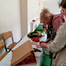 Rokiškio specialiosios mokyklos šventė: kelionė be paso, bet su daugybe šypsenų