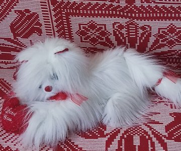 Minkšti žaislai