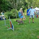 Ilzenbergo dvaro tradicija – šunų festivalis: šį kartą nustebino aklo šuns pasirodymas (foto)