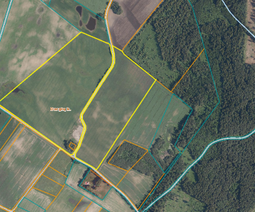 21,59 ha žemės ūkio paskirties sklypas