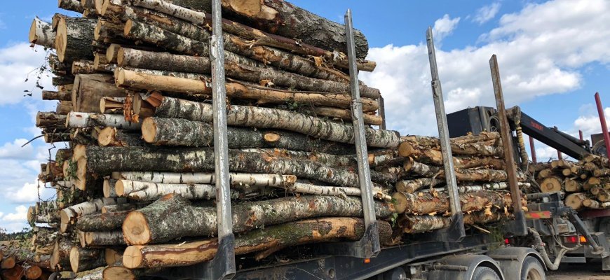 Iš miškavežio išsiliejo naftos produktai