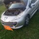 „Peugeot 207SW“