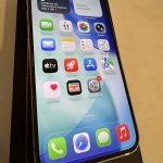 „iPhone 12 Pro Max“