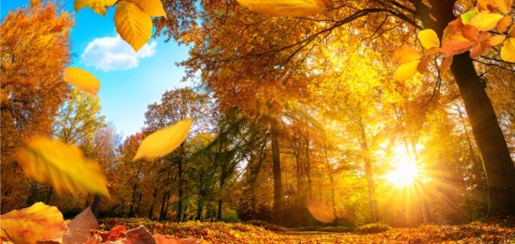 Naujausioje sinoptikų prognozėje – fantastiškos žinios: kasdien bus tik geriau