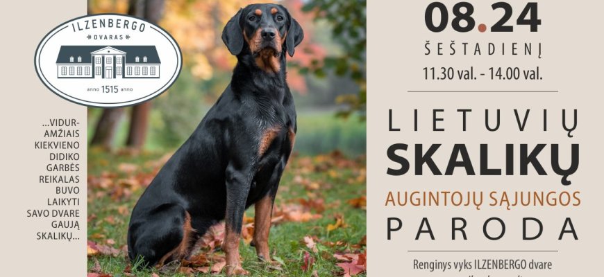 Rugpjūčio 24 d. Ilzenbergo dvare lietuvių skalikų augintojų sąjungos paroda