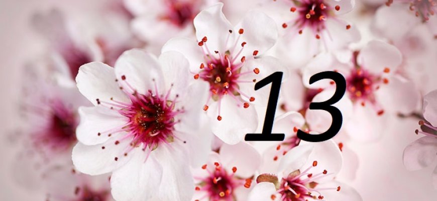 Gegužės 13-oji Lietuvoje ir pasaulyje