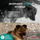 Mirus šeimininkui gyvūnai lieka vieni: kaip to išvengti