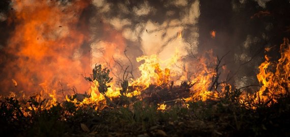 Ugniagesiai įspėja: būkite atsargūs miškuose!