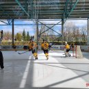 Pirmoji  ketvirtfinalio pergalė – „Grizlių“ rankose