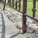 Tvorelę baigia pakirsti rūdys (video+foto)